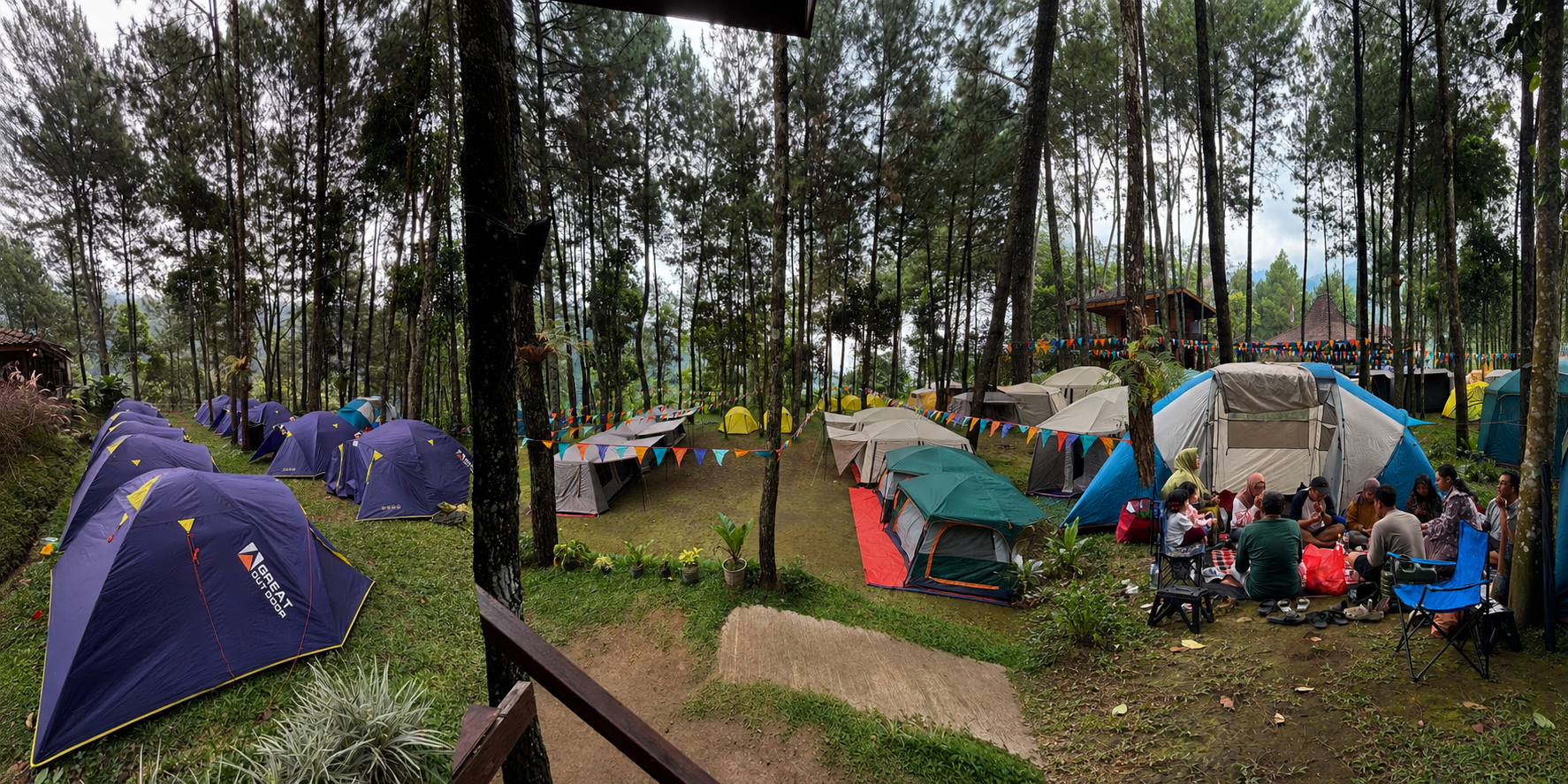 Forest at sunset